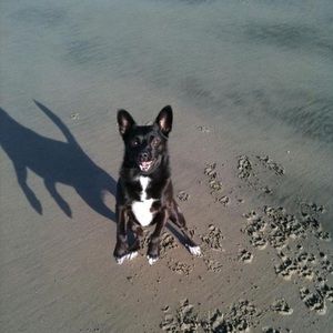 Meet your Posher, Tammilynn